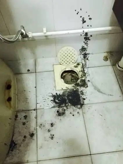 Floor Trap Clearing