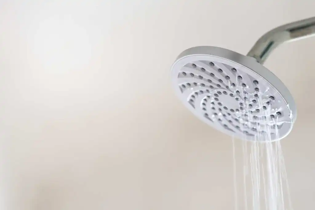 Shower Leak Repair