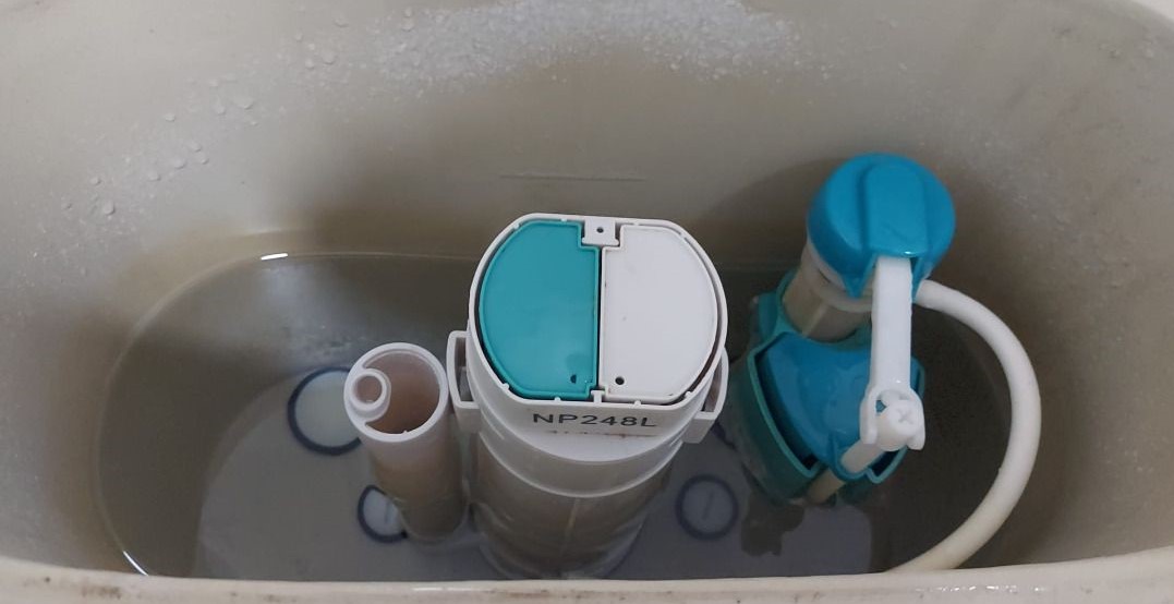 Toilet Flush Repair