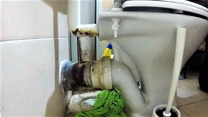 Toilet Repair